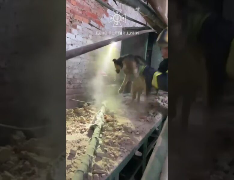 кадри порятунку 2 носиків після російського обстрілу