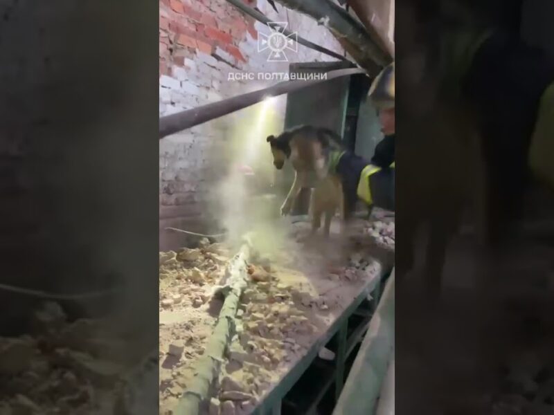 кадри порятунку 2 носиків після російського обстрілу