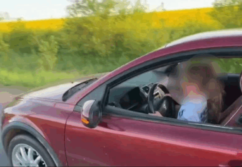 На Львівщині покарали батька, який посадив 8-річну доньку за кермо