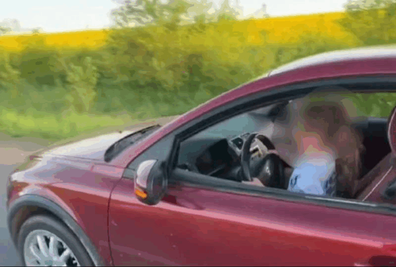 На Львівщині покарали батька, який посадив 8-річну доньку за кермо