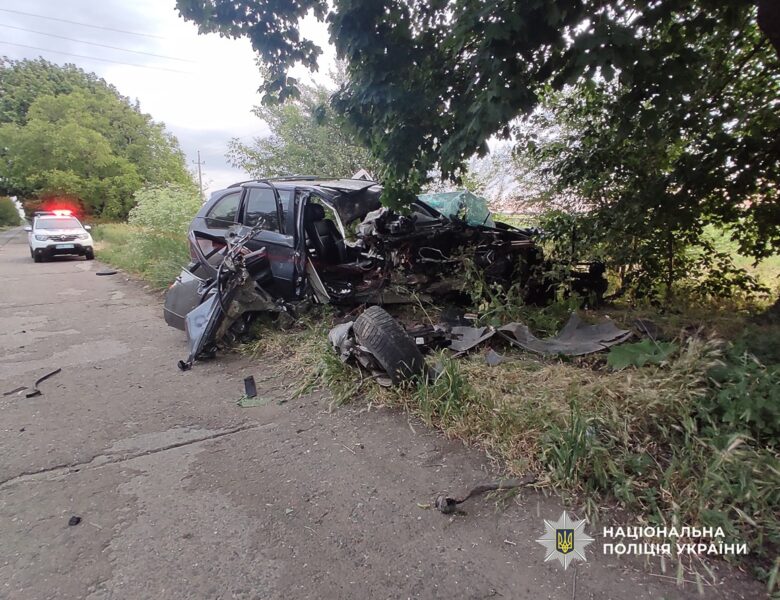 На Одещині водій врізався в дерево, є загиблий