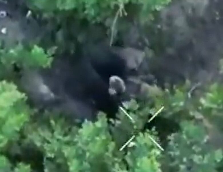 Росіянин перед знищенням сам заліз у чорний пакет