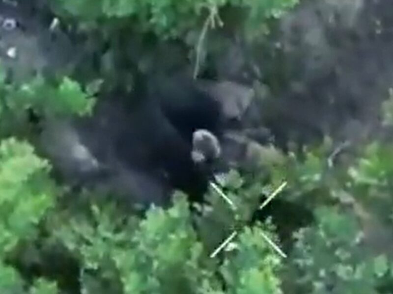 Росіянин перед знищенням сам заліз у чорний пакет