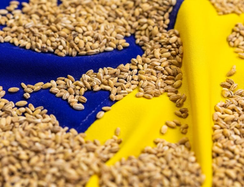 Став відомий найбільший імпортер агропродукції України серед країн ЄС