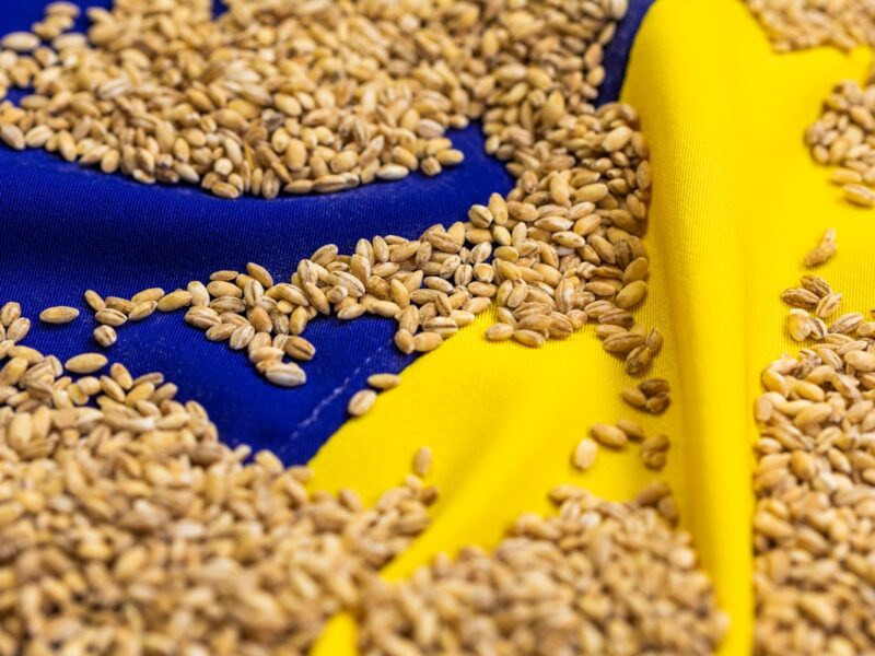 Став відомий найбільший імпортер агропродукції України серед країн ЄС