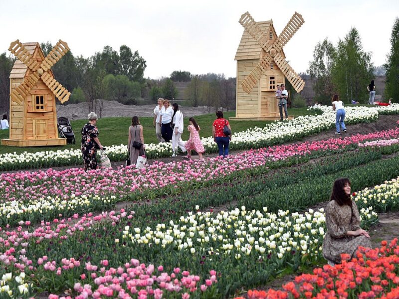 Сухо, подекуди грози: в Україні відступає спекотна погода