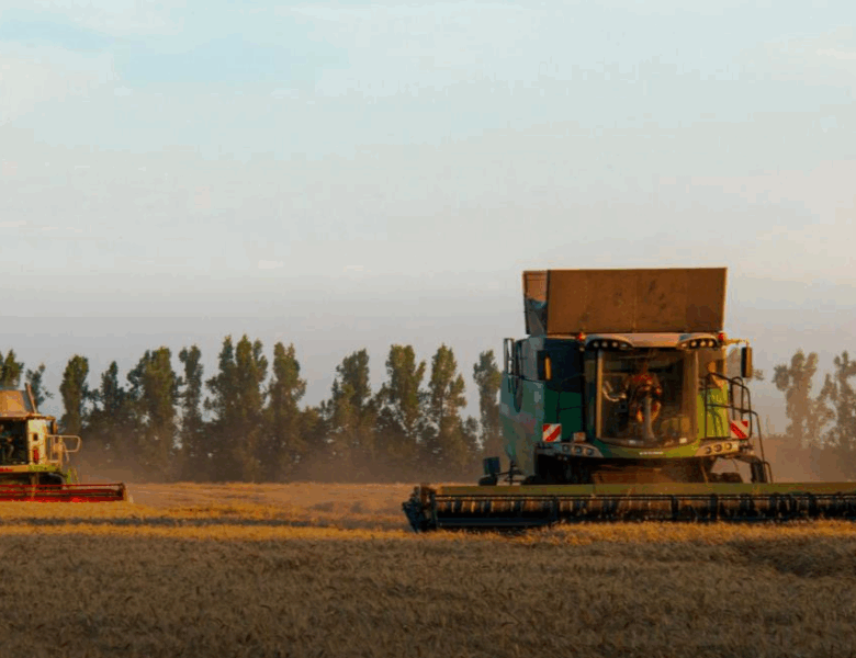 Темпи жнив-2025 відстають від минулорічних у 3,8 раза