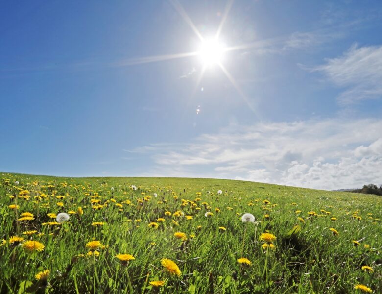 Тепло, подекуди дощі: прогноз погоди на початок тижня