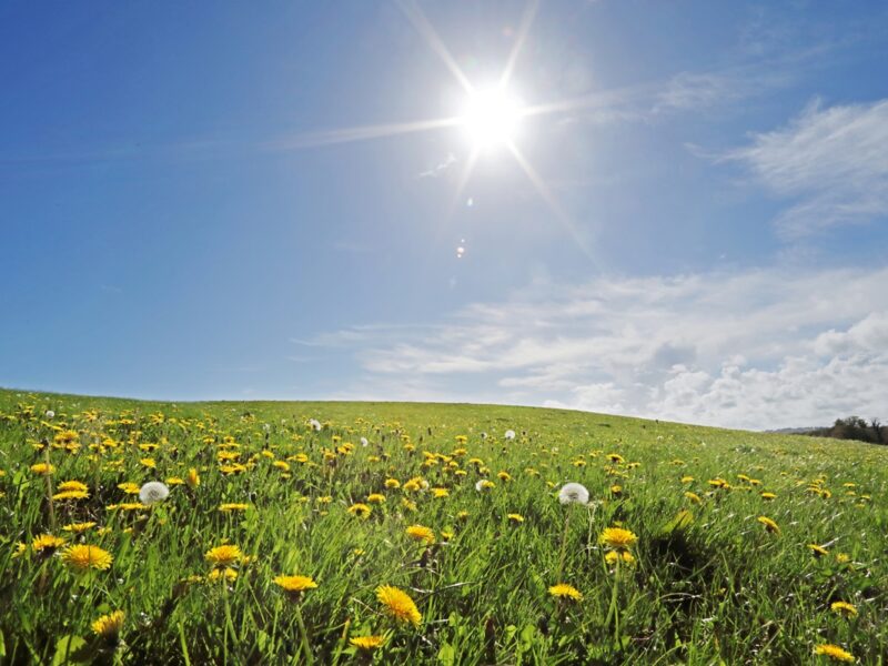 Тепло, подекуди дощі: прогноз погоди на початок тижня