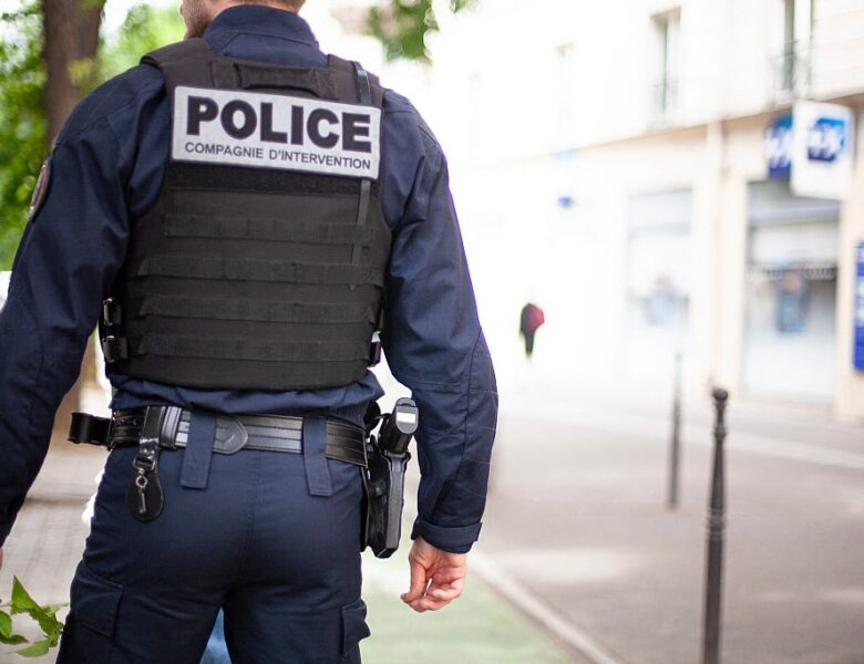 У Франції поліція другу добу шукає удава, що втік з тераріуму