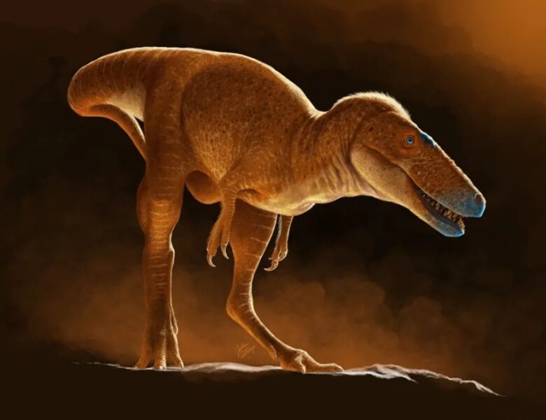 У Монголії виявили найближчого предка тиранозаврів