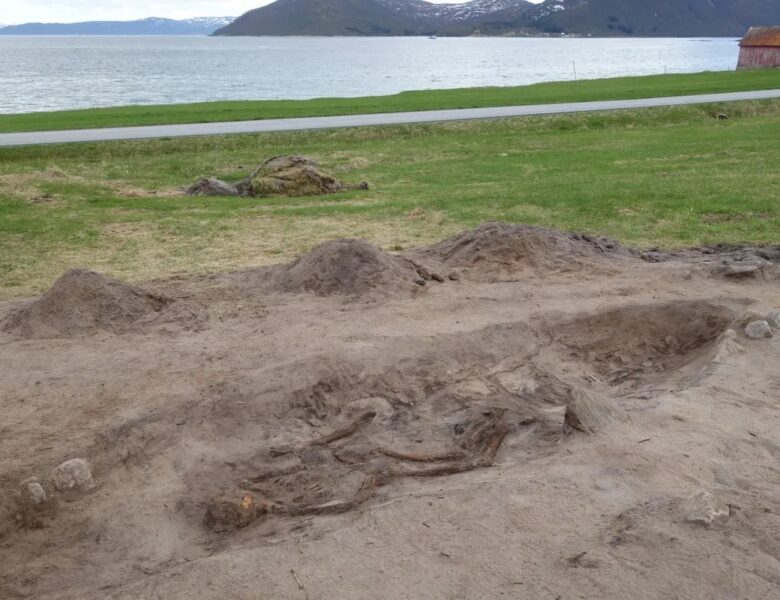 У Норвегії виявили 1000-річне поховання жінки-вікінга з її собакою