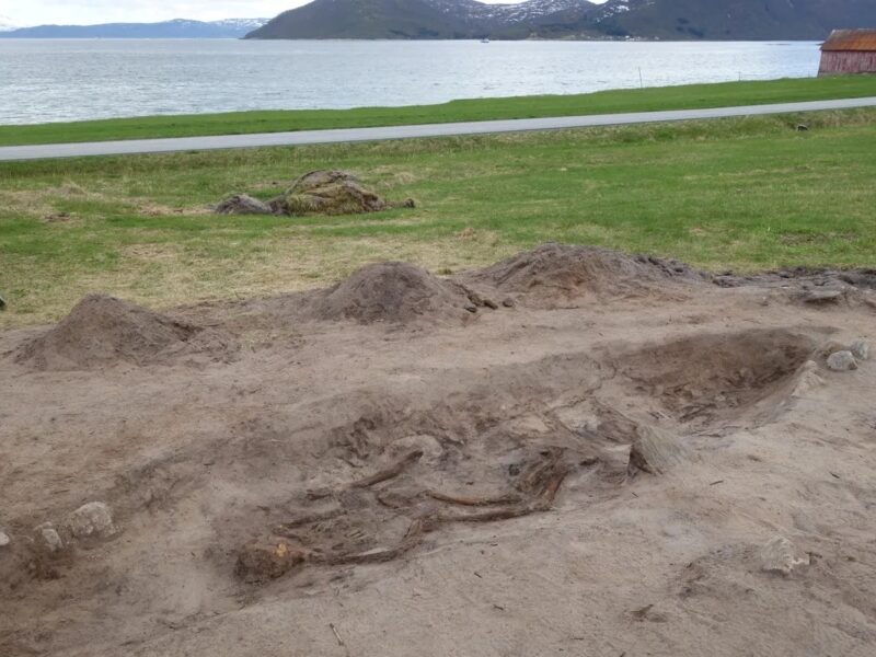 У Норвегії виявили 1000-річне поховання жінки-вікінга з її собакою