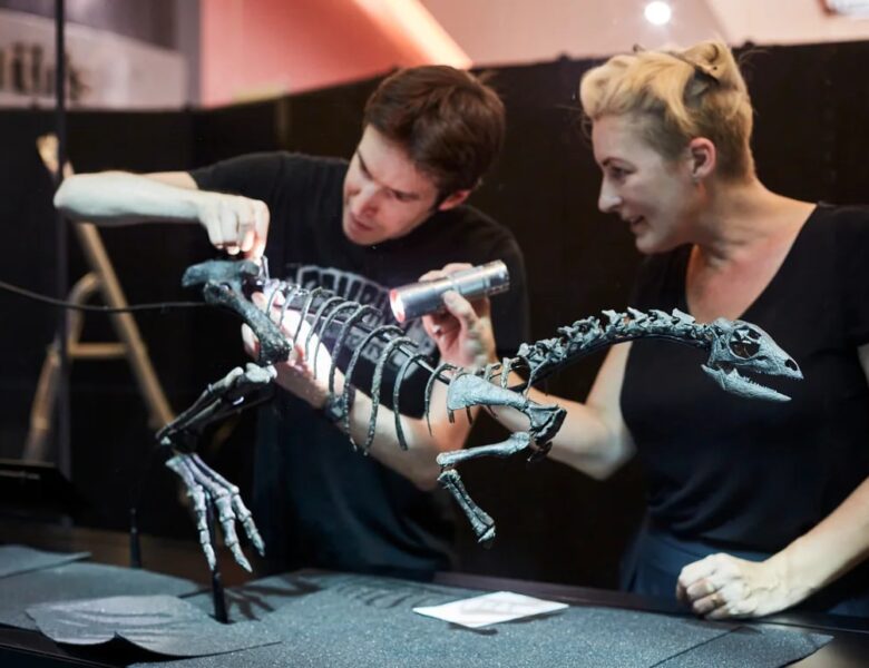 У США знайшли новий вид динозавра