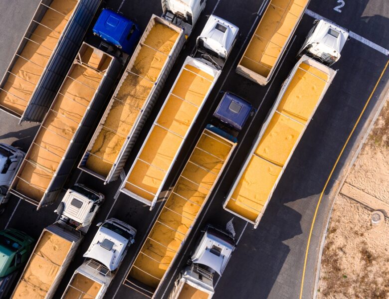 Україна наростила експорт жита