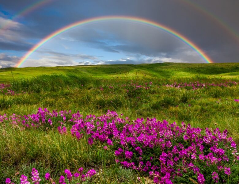 Україну накриє спека до +37, подекуди грози