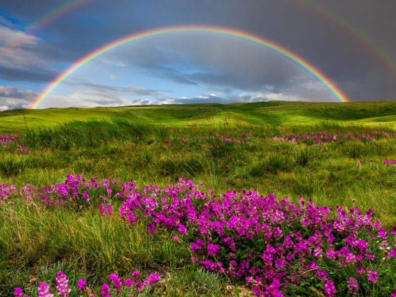 Україну накриє спека до +37, подекуди грози