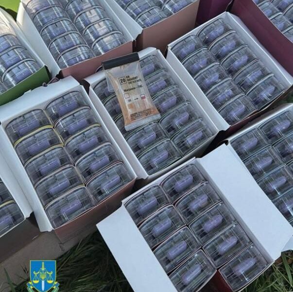 В Україні викрили міжнародний канал наркопостачання