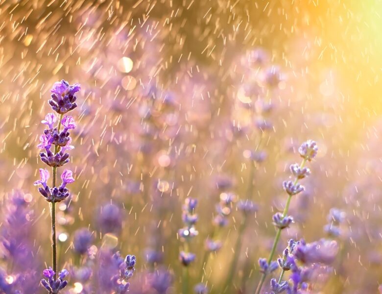 В Україну повернуться грози: прогноз погоди на вихідні