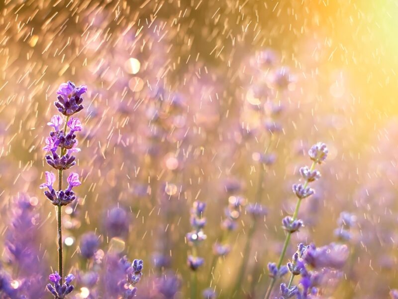 В Україну повернуться грози: прогноз погоди на вихідні