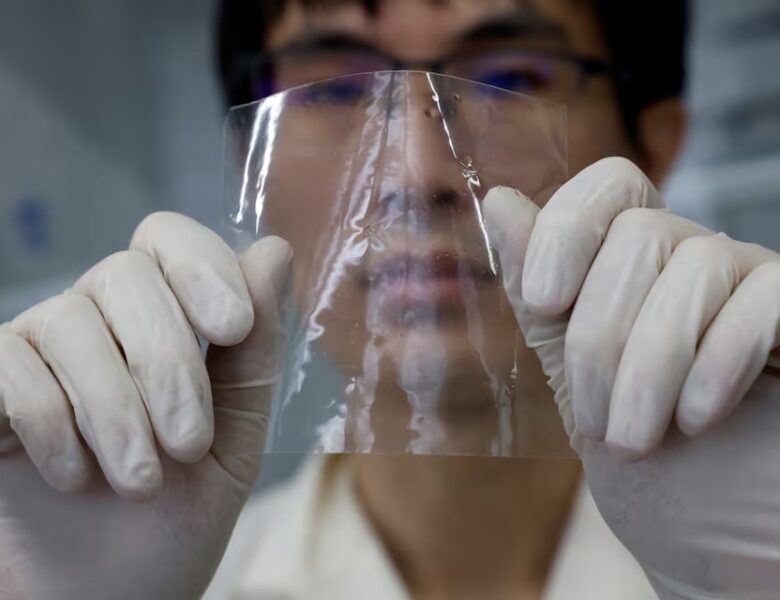 Японські науковці розробили пластик, що зникає у морі