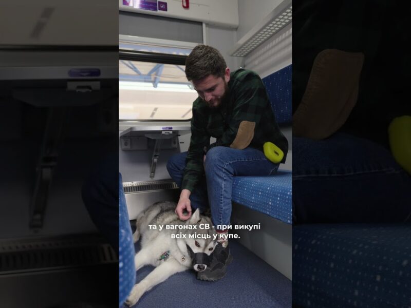 Нові правила перевезення тварин в поїздах Укрзалізниці