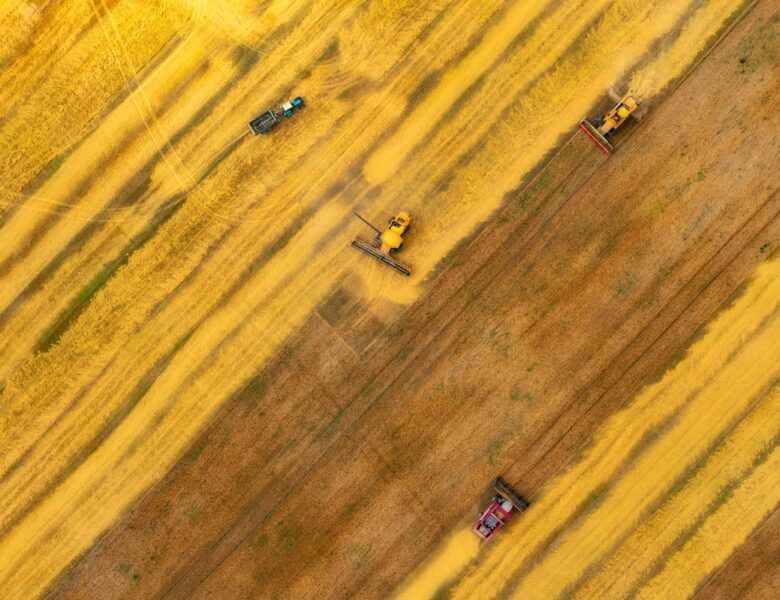 Аграрії наблизилися до збору першого мільйона тонн зерна