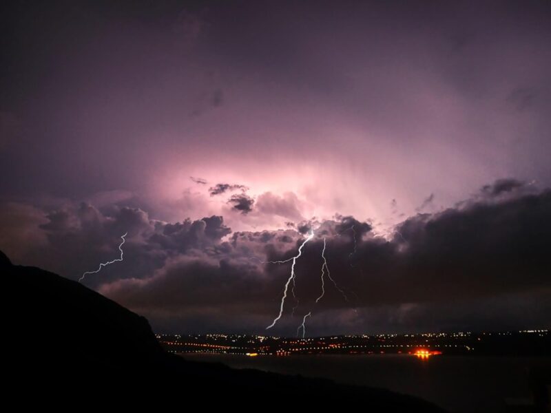 Блискавки щороку вбивають сотні мільйонів дерев – вчені