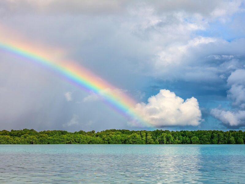 Гороскоп для всіх знаків зодіаку на 11 липня 2025 року