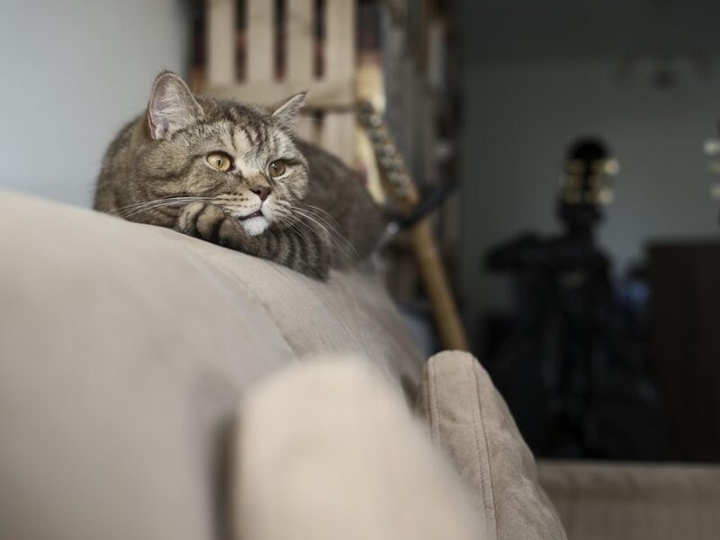 Гороскоп для всіх знаків зодіаку на 15 липня 2025 року