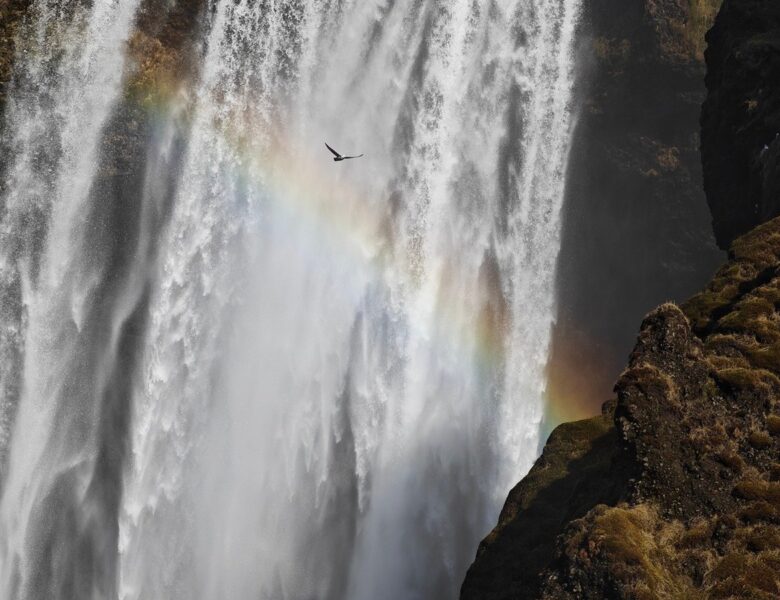 Гороскоп для всіх знаків зодіаку на 16 липня 2025 року