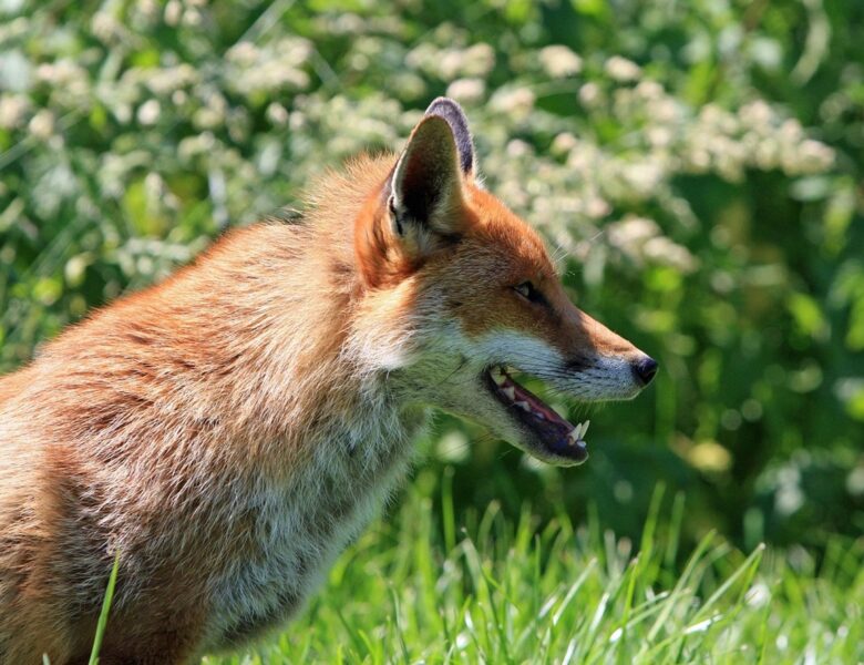 Гороскоп для всіх знаків зодіаку на 22 липня 2025 року