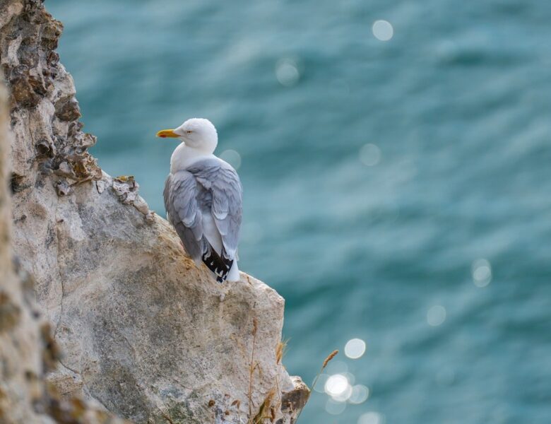 Гороскоп для всіх знаків зодіаку на 23 липня 2025 року