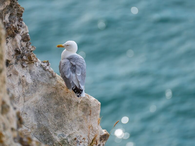 Гороскоп для всіх знаків зодіаку на 23 липня 2025 року