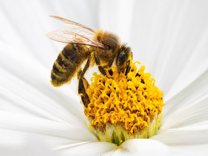 Гороскоп для всіх знаків зодіаку на 29 липня 2025 року