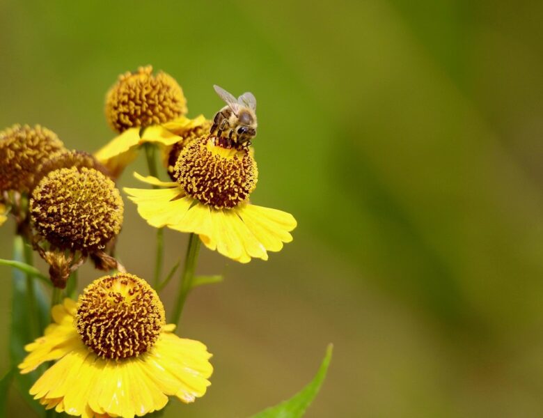 Гороскоп для всіх знаків зодіаку на 3 липня 2025 року