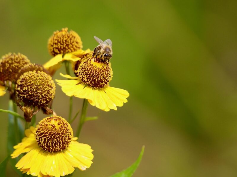 Гороскоп для всіх знаків зодіаку на 3 липня 2025 року
