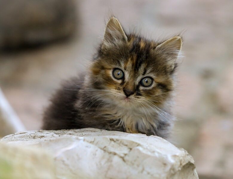 Гороскоп для всіх знаків зодіаку на 30 липня 2025 року