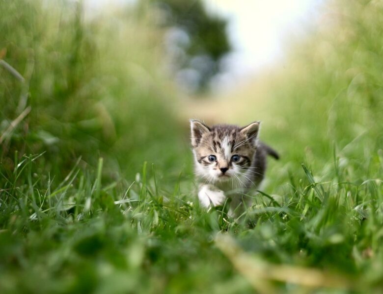 Гороскоп для всіх знаків зодіаку на 8 липня 2025 року