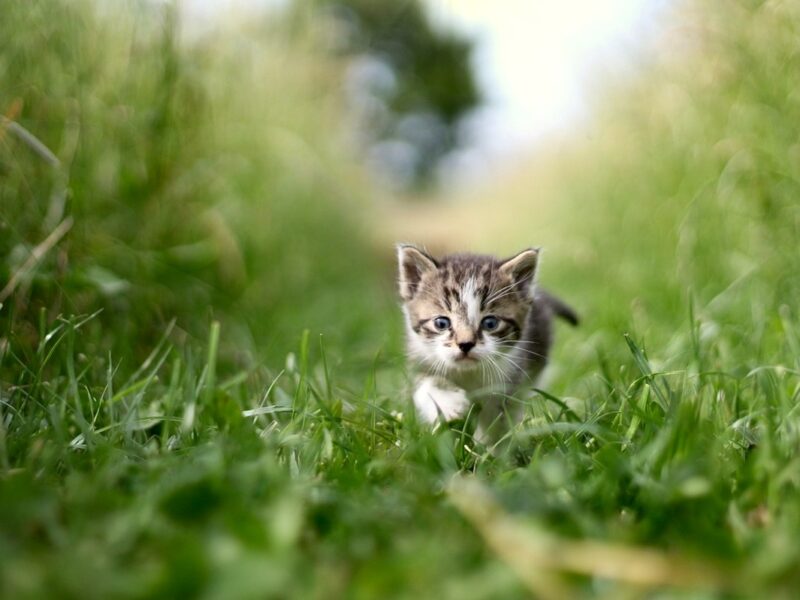 Гороскоп для всіх знаків зодіаку на 8 липня 2025 року