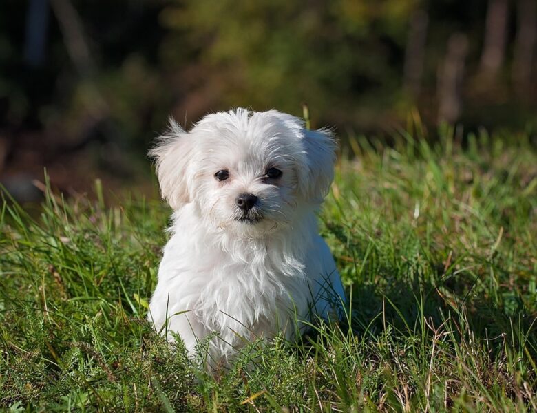 Гороскоп для всіх знаків зодіаку на перші вихідні липня 2025 року