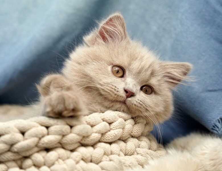 Гороскоп для всіх знаків зодіаку на вихідні 19-20 липня 2025 року