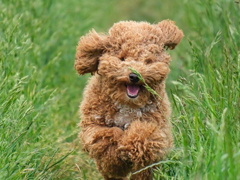 Гороскоп для всіх знаків зодіаку на вихідні 26-27 липня 2025 року