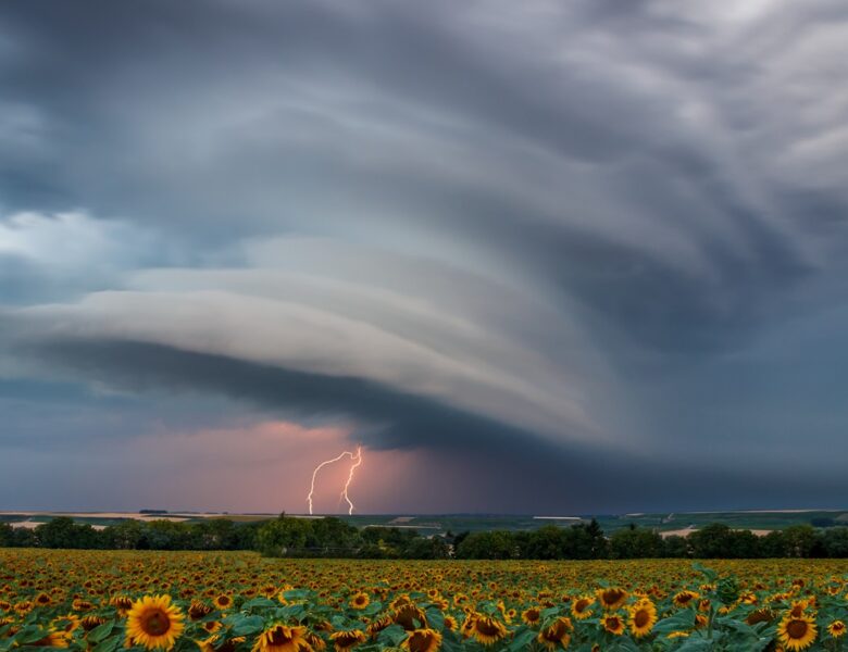Грози на заході, спека на півдні: прогноз погоди на початок тижня