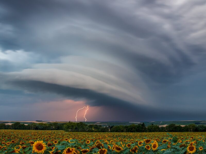 Грози на заході, спека на півдні: прогноз погоди на початок тижня
