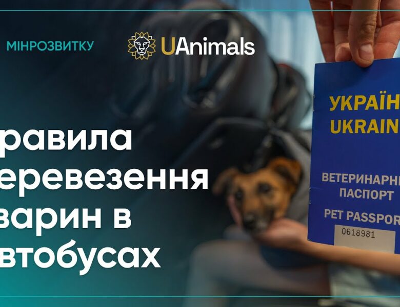 Правила перевезення домашніх тварин в автобусах: пояснює Рижуля