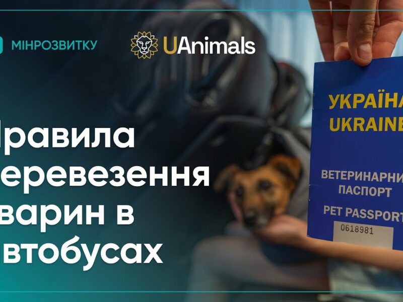 Правила перевезення домашніх тварин в автобусах: пояснює Рижуля