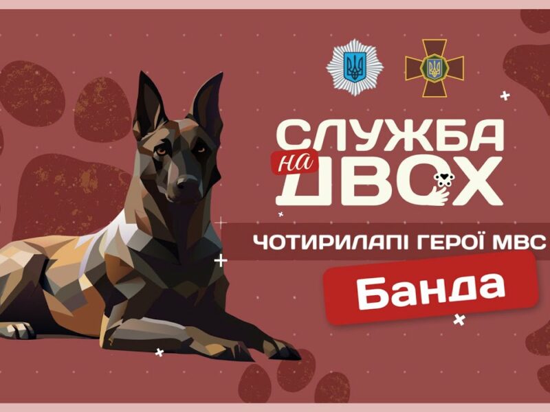 🎖 БАНДА – собака-герой України та вірна напарниця | Служба на двох