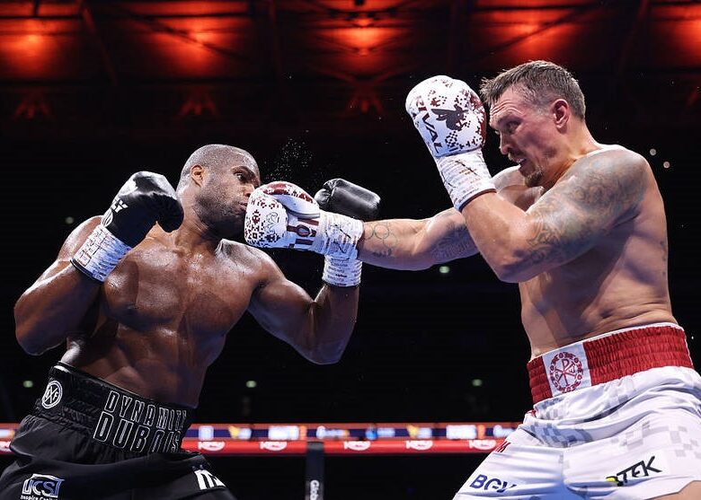 Лапін розповів, що допомогло Усику нокаутувати Дюбуа