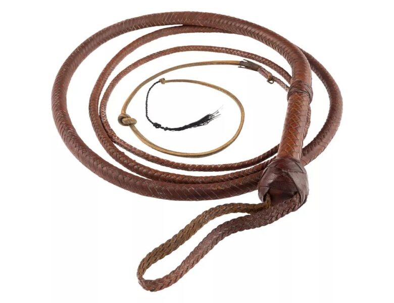 Легендарний батіг Індіани Джонса продали на аукціоні